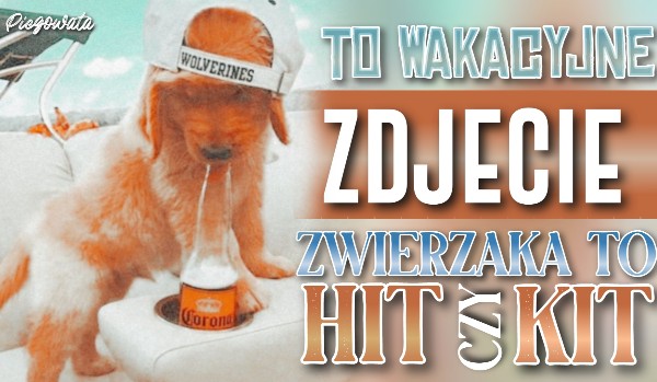 To wakacyjne zdjęcie zwierzaka to hit czy kit?