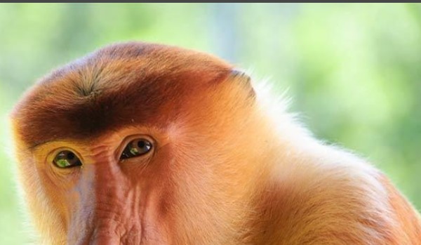 Memes 666÷111-2=???