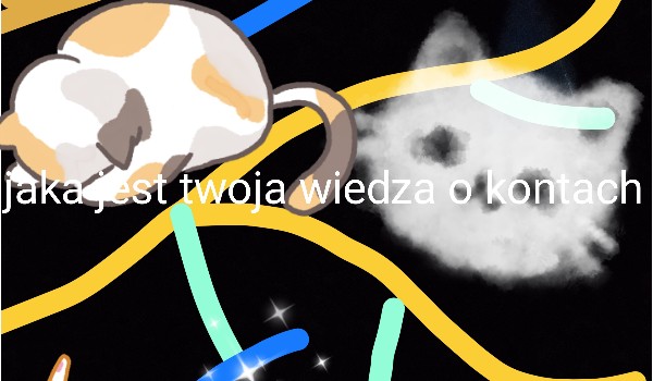 Jaka jest twoja wiedza o kontach