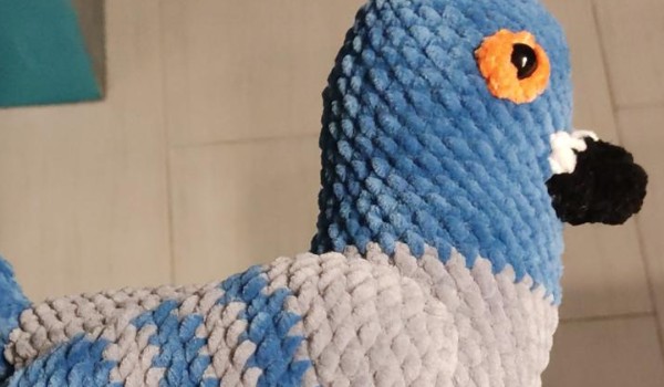 Jak spedzisz rok szkolny