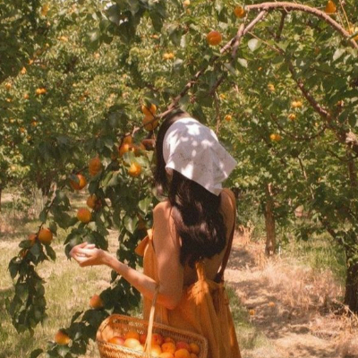 Karmelcia.zje.ci.nosek