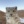 Melodix_on_paws