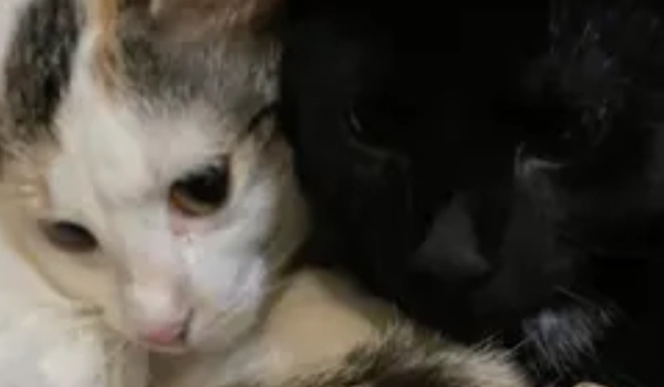 jak dobrze mnie znasz