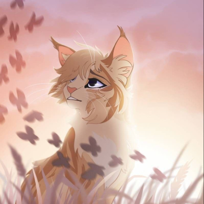 ._Kwiecista_Gwiazda_.