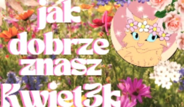 ~Jak dobrze znasz Kwiet3k?~