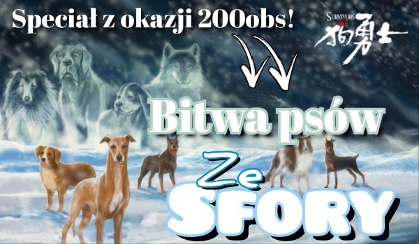 Bitwa psów ze Sfory • runda 2 (finał)
