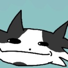 KizikCat