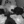 Charlotte_909