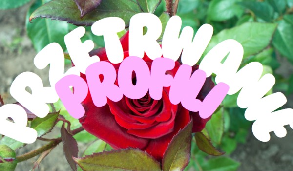 Przetrwanie profili! #2