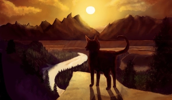 Wynik pierwszego arta!