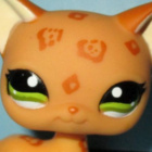 odbytnicagwiazdonosa