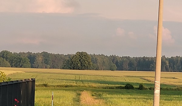 Duże przetrwanie profili (39).