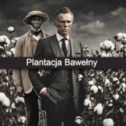 Plantacja