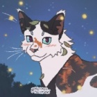 -.Zakwitka.-