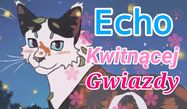 Echo Kwitnącej Gwiazdy// zapisy