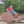Iten_afton