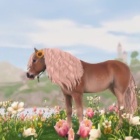 Star.Stable.Fp