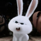 BlackSnowball45