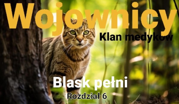 Blask pełni – Rozdział 6