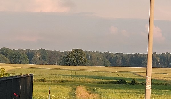 Duże przetrwanie profili (48).