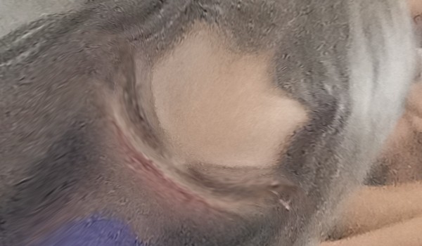 Czy jesteś marciszem