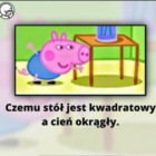 Krokiecik_ciekawy