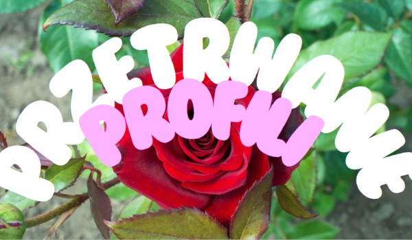 Przetrwanie profili! #4