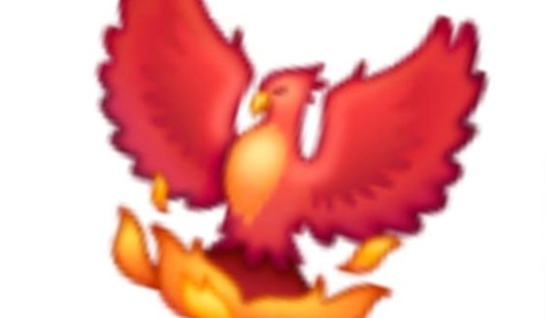 Shipy z wojowników!!! Jak jest zdjęcie Bibi mojego ulubionego zadymiarza z brawl stars to znaczy że wylosowałeś mojego ulubionego kota z wojowników!!!