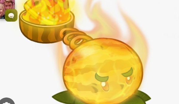 czy rospoznasz rośliny z plants vs zombies,2