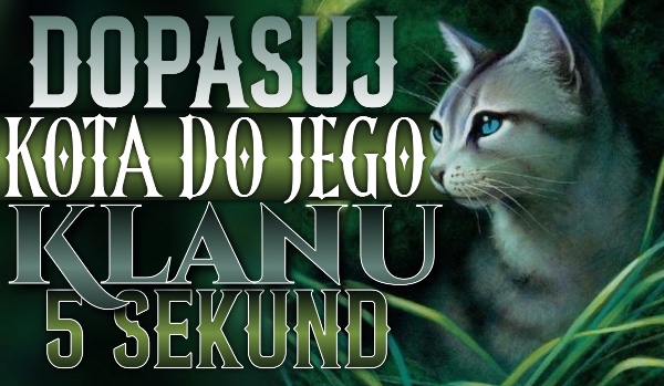 Dopasuj kota z „Wojowników” do jego Klanu w 5 sekund!