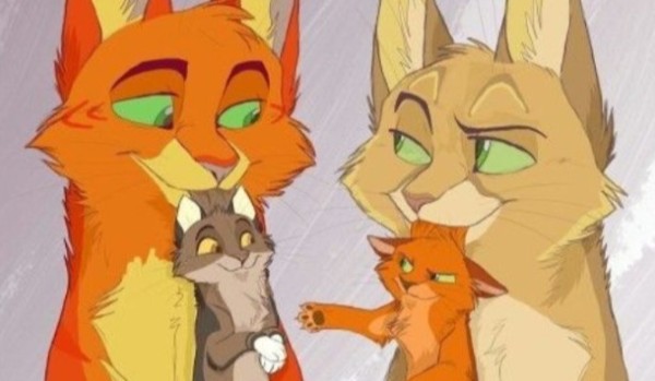 Moi obs w Picrew Warrior Cats #1