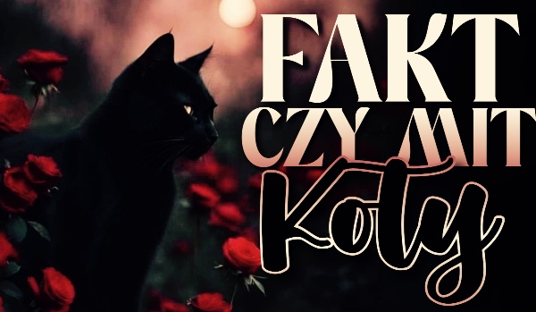 Fakt czy Mit? — Koty