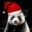 Pan.Panda