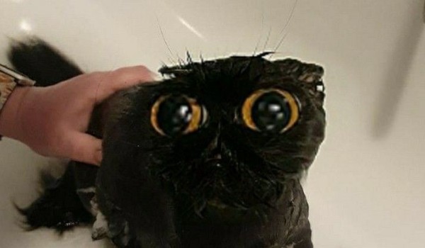 How much you know about me?