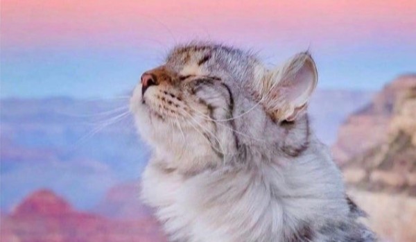 Klan Deszczu – Prolog