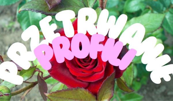 Przetrwanie profili! #11