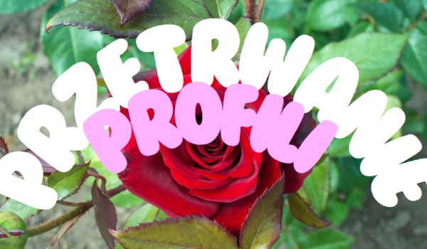 Przetrwanie profili! #15