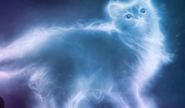 Jakie magiczne zwierzęta ci się podobają 2