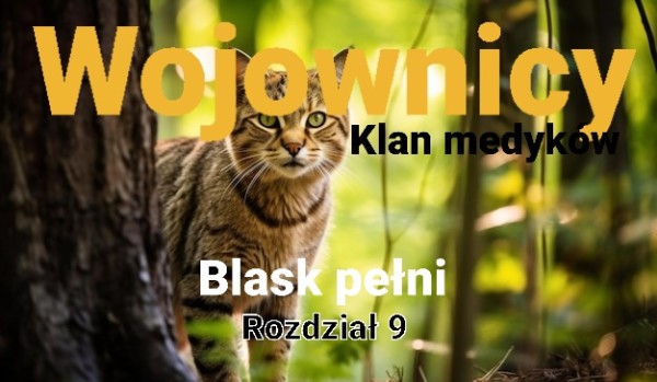 Blask pełni – Rozdział 9