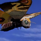 Mothrazpolski