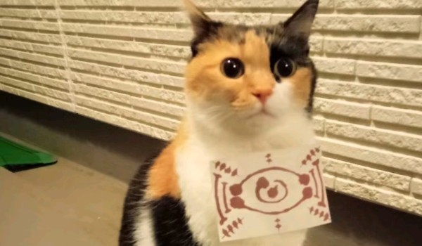 Pryzklajanie kolorowych mrówek w randomowy miejscach zanim moja rodzina je odnajdzie Part 1