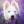 kacpper_pl