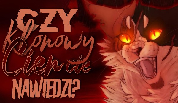 Czy Klonowy Cień Cię nawiedzi?