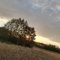 Benedykt_8