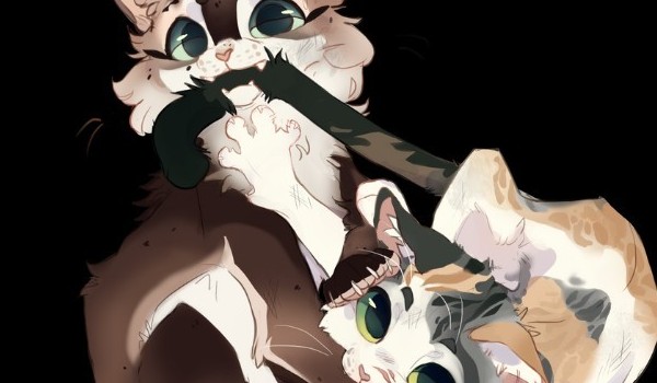 Bitwa profili|runda 1