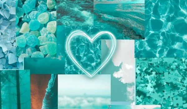 Przetrwanie profili (6)