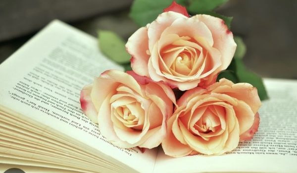 Czy jesteś książkarom