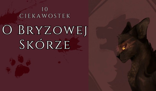 10 Ciekawostek o Bryzowej Skórze.