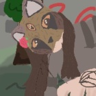Rain_Paws
