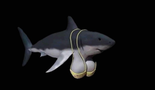 sprawdzian przedwiosnie